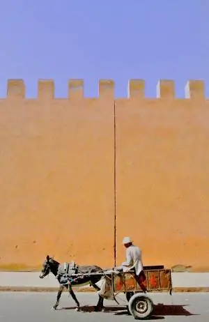 Фотография Пола Салливана