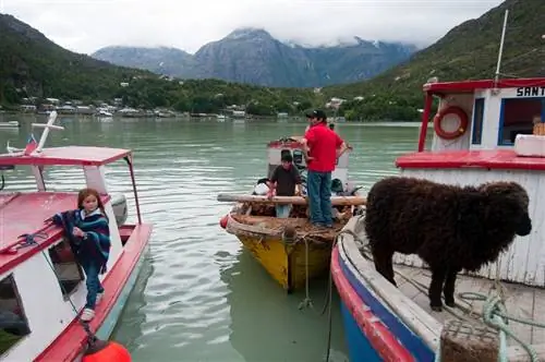 Истокам Айсена угрожает проект плотины Гидроайсен