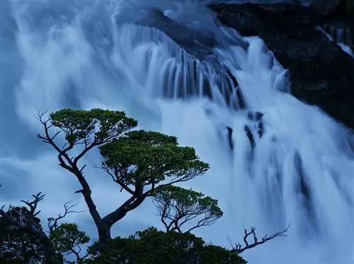 Истоки Айсен Река Паскуа находится под угрозой из-за проекта плотины Хидроайсен