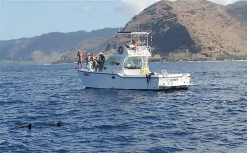 Путеводитель по устойчивому развитию: Оаху, Гавайи