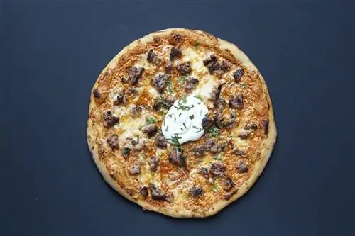 розовый-фламинго-канал-сен-мартен