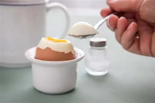 Яйцо в чашке