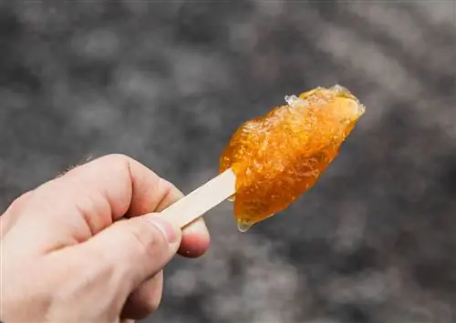 9 десертов, за которые стоит поблагодарить Канаду, и где их попробовать