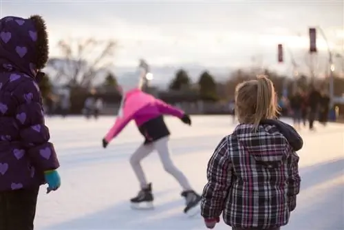 7 прекрасных сторон зимы в Келоуне, Британская Колумбия