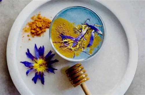 Лучшие места для трезвой вечеринки в Денвере