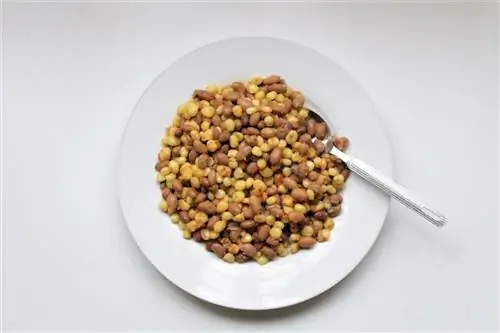 Кукуруза и бобы