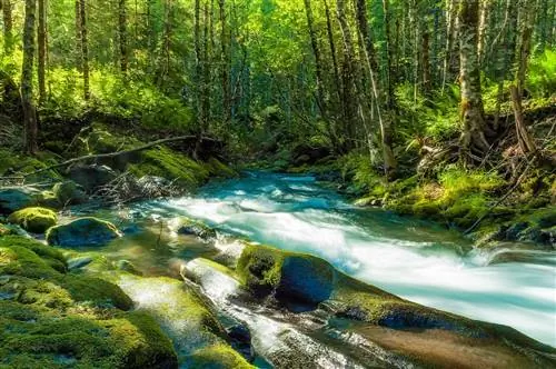 У истока реки Калама