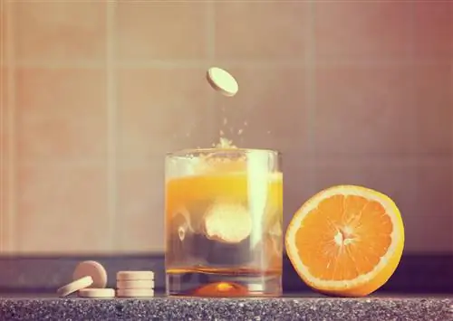 Ваши предполетные добавки с витамином С действительно что-то делают?