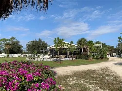 7 блюд и напитков на пляжах Форт-Майерса и Санибела