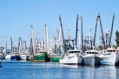 7 блюд и напитков на пляжах Форт-Майерса и Санибела