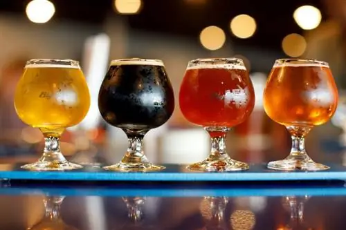 7 блюд и напитков на пляжах Форт-Майерса и Санибела