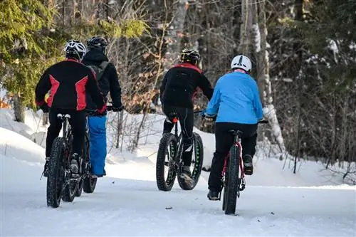 Катание на толстом велосипеде в Норт-Лейк-Тахо