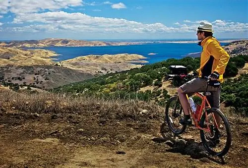 Команда Matador публикуется повсюду