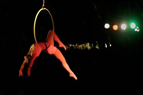 Как вы попали на этот концерт: Цирковой инструктор