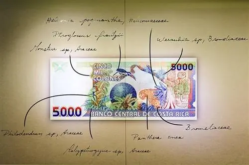 Изображение Изображение