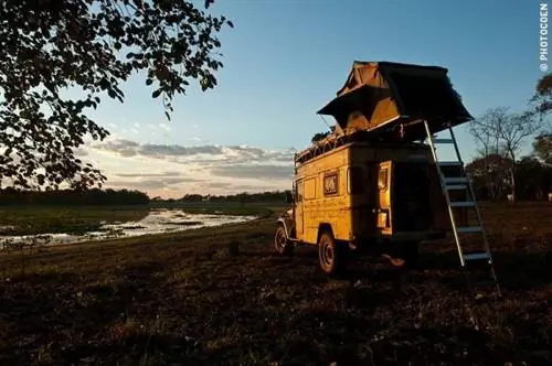 Пантанал, Бразилия