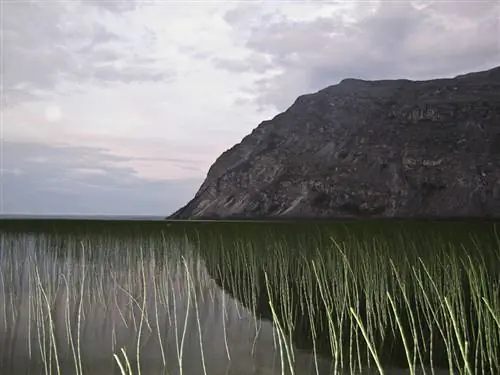 Уроки Наханни, Северо-Западные территории