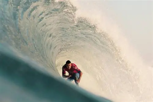 Состояние Союза: профессиональный серфинг