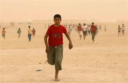 Сахарский марафон: приключенческие гонки с соблюдением прав человека