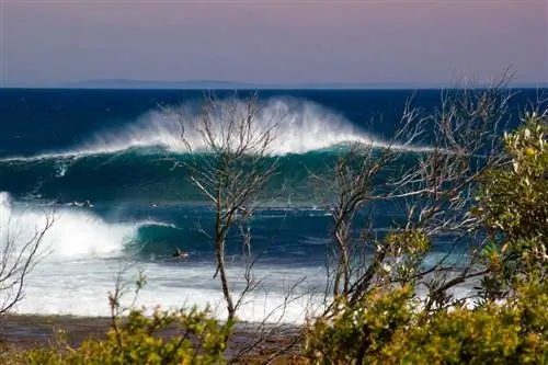 Австралийский трубопровод
