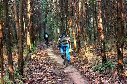 Катание на горном велосипеде через акации