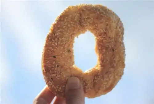 Бублик, поднесенный к небу