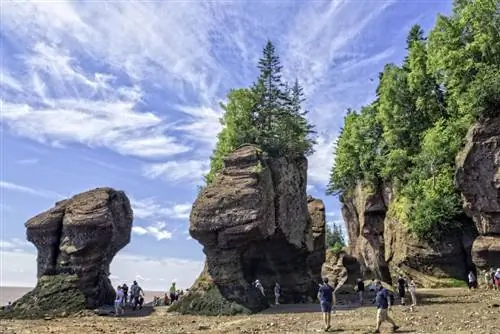 Туризм Нью-Брансуик Хоупвелл Рокс