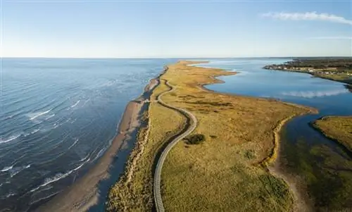 Зеленое путешествие: ваш экологичный путеводитель по Нью-Брансуику
