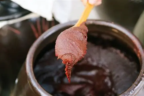 Gochujang-острый-соус-во всем мире Gochujang-острый-соус-во всем мире