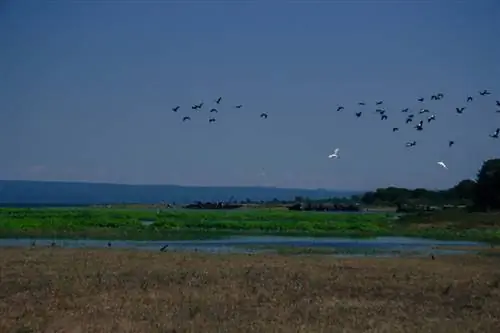 Озеро Кариба