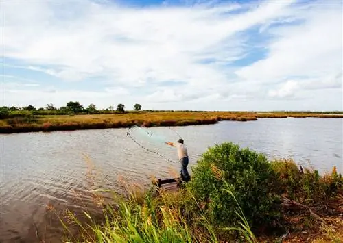Авторские спиртные напитки и любимые креольские блюда делают Лейк-Чарльз, штат Луизиана, летним центром Юга