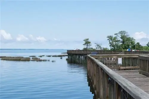 Как исследовать Внешние берега Северной Каролины пешком: путеводитель