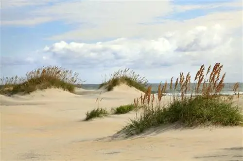 Как исследовать Внешние берега Северной Каролины пешком: путеводитель