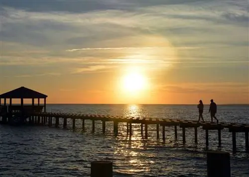 Исследуйте внешние берега Северной Каролины пешком: Путеводитель