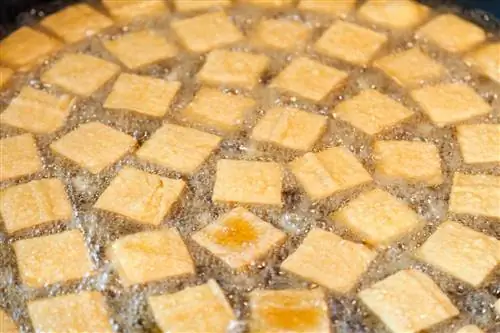 Тайваньская еда жареный тофу