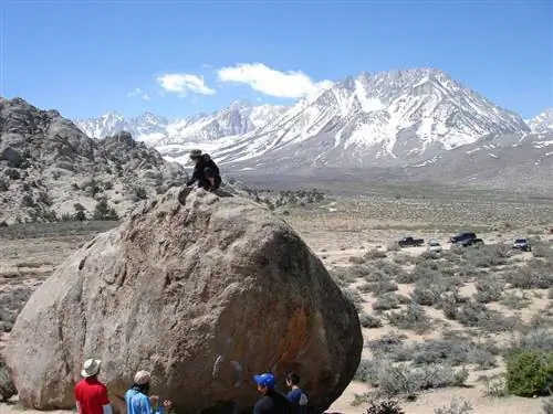 Фото: Марк Долинер