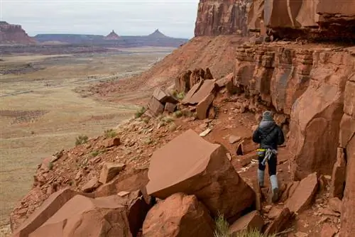 Фото: Джонатон Фокс