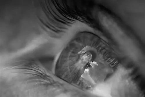 Лонни Каук, занимающийся боулдерингом в Buttermilks, запечатлен в отражении глаза Криса Бенчетлера.