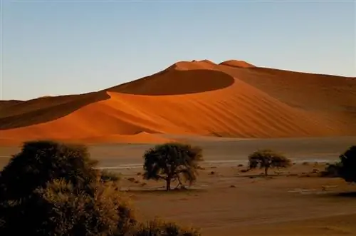 Фото: Туризм в Намибии