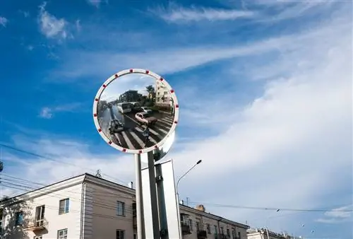 Фото: Дмитрий Лопатин