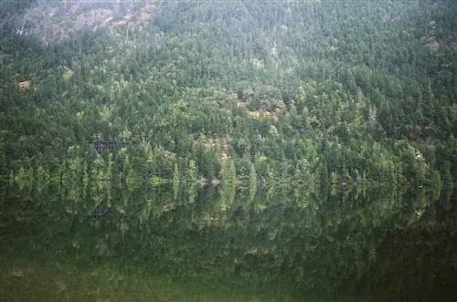 Фото: Райан Уотсон