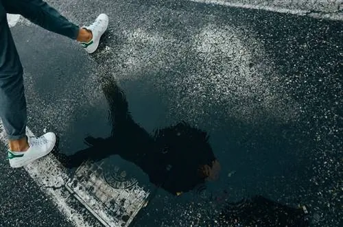 Фото: Пичу Дзен