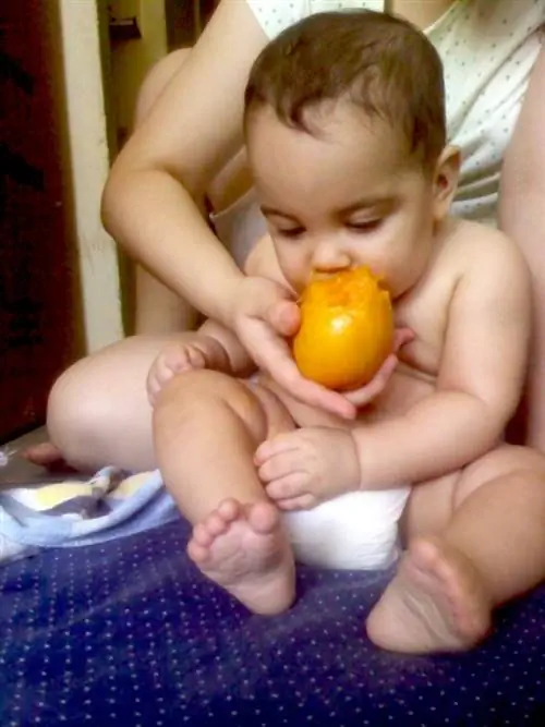 Авторы и права: Махо Росселл