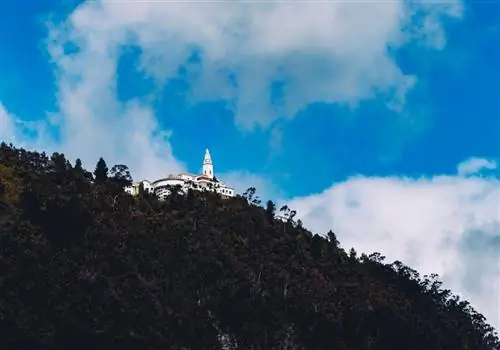 Сэр Мао через Travelstoke