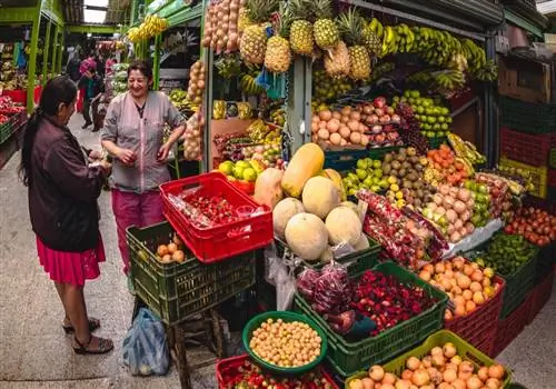 15 обязательных впечатлений в Боготе