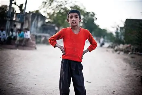 Туристическая фотография по словам Уэса Андерсона