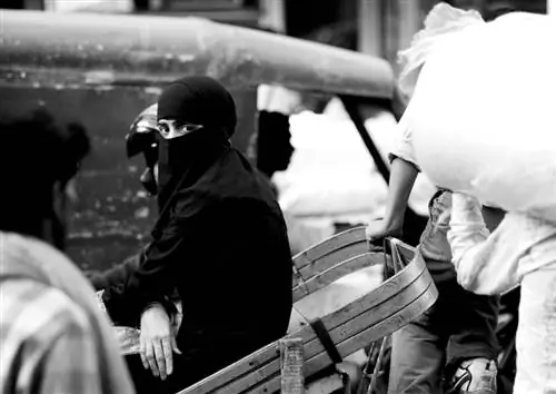 Внешний вид. Старый Дели, Индия, 2011. &copy;Jens Lennartsson