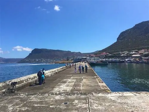 Какие самые крутые районы в Кейптауне и почему?