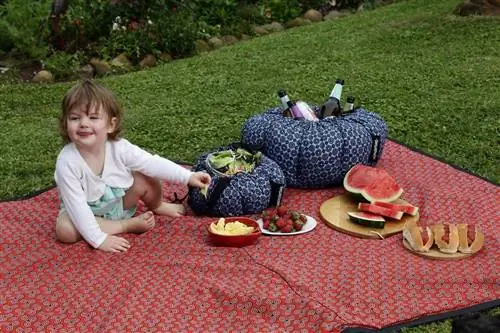 Кемпинг с совестью: как сделать поход без отходов.