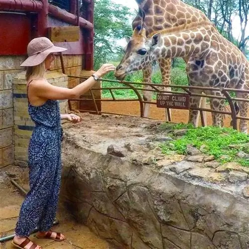 Места, где можно сфотографировать дикую природу и архитектуру Найроби